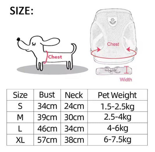 Dog Harness